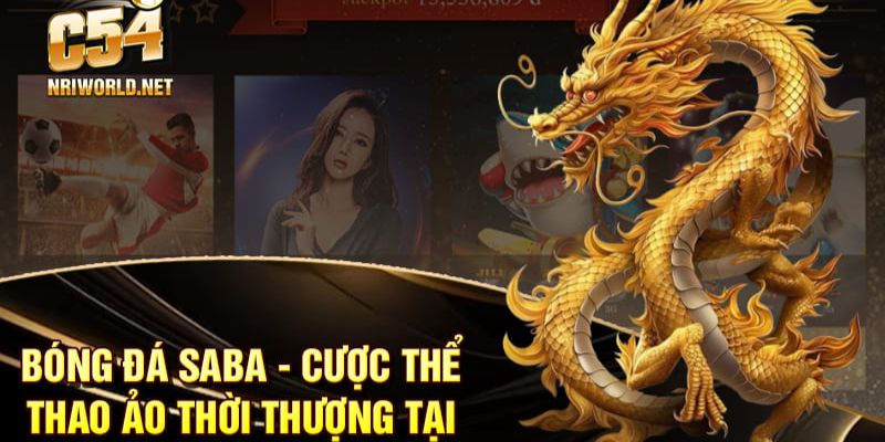 C54 Sports cung cấp dịch vụ xem trực tiếp