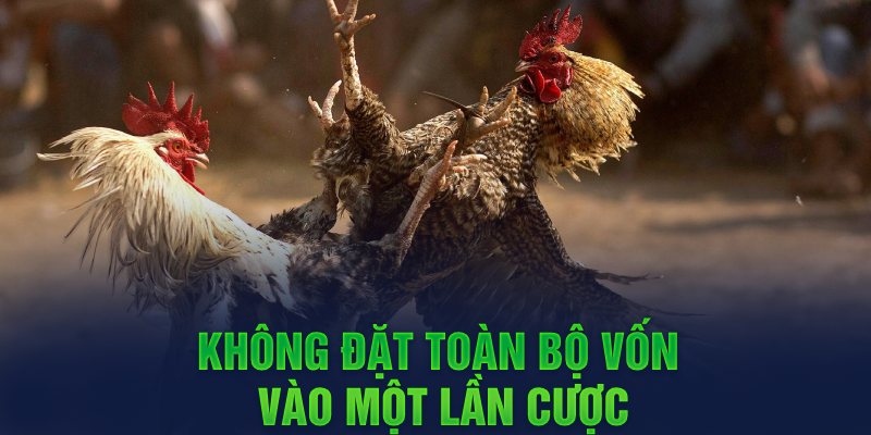 Không đặt cược toàn bộ vào một ván cược